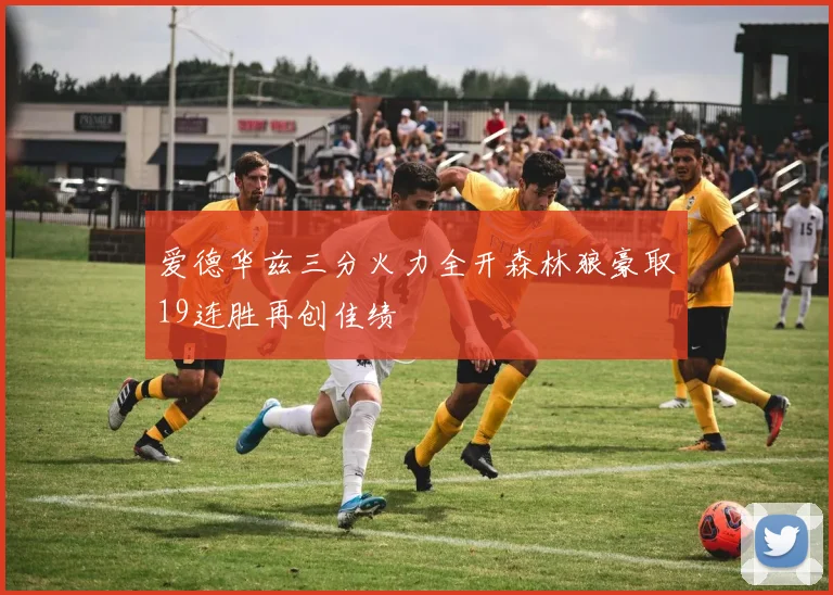 爱德华兹三分火力全开森林狼豪取19连胜再创佳绩