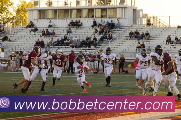 BOB体育APP 高清赛事图